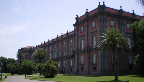 Naples Private Tour: Capodimonte Museum