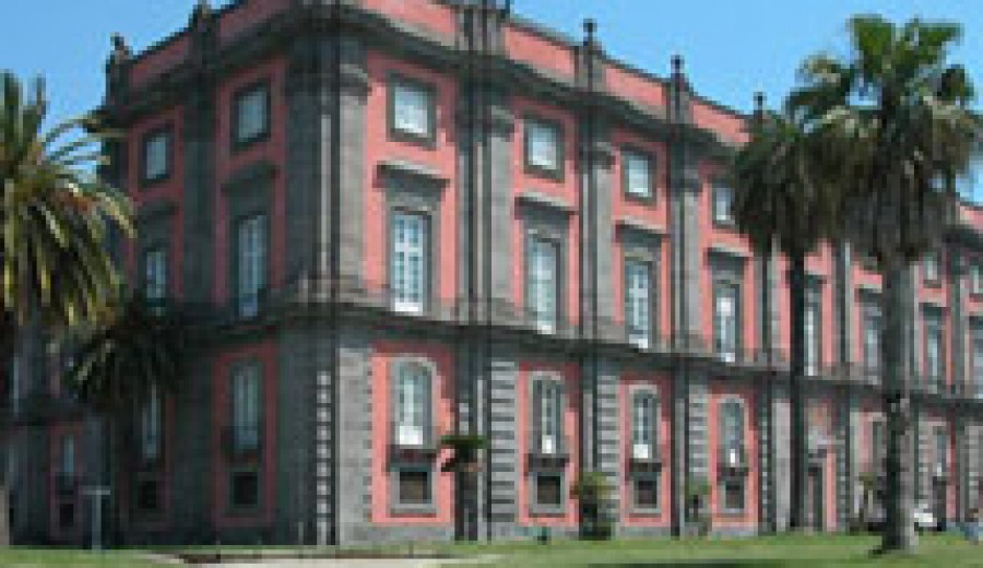 Naples Private Tour: Capodimonte Museum