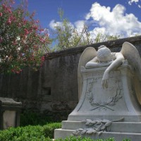 Wander through the tranquil surrounds of Rome's Protestant cemetery