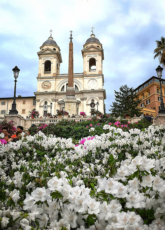 Spanish Steps with azalea flowers