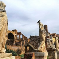 Admire the beautiful statues in the house of the Vestal Virgins