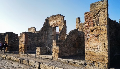 Day Trip from Rome to Pompeii and Archaeological Museum of Naples - image 4