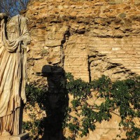 Private Colosseum Tour with Roman Forum & Palatine Hill: Essential Experience - image 8