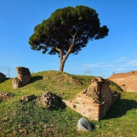 Private Colosseum Tour with Roman Forum & Palatine Hill: Essential Experience - image 10