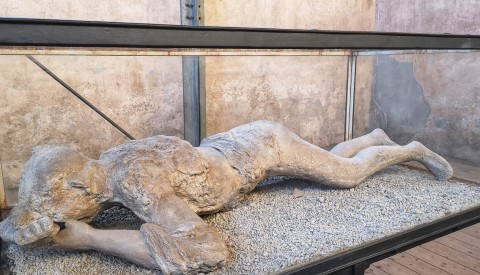 Naples Shore Excursion to Pompeii & the Archaeological Naples Museum - image 1