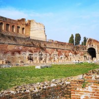 Let yourself be transported back to the golden age of antiquity as you wander through the ruins of the Palatine hill