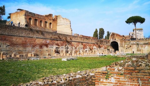 Let yourself be transported back to the golden age of antiquity as you wander through the ruins of the Palatine hill