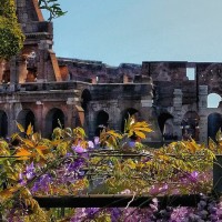 Gaze on the incredible architecture of the Colosseum 