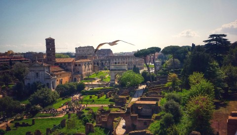 Roman Forum Virtual Tour: Inside Ancient Rome - image 4