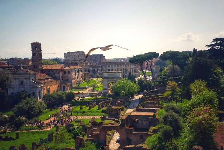 Rome’s Ancient Icon: An Express Guide to the Colosseum