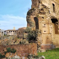 Wander through the imposing ruins of the Roman Forum