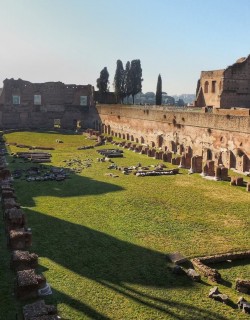 Private Colosseum Tour with Roman Forum & Palatine Hill: Essential Experience