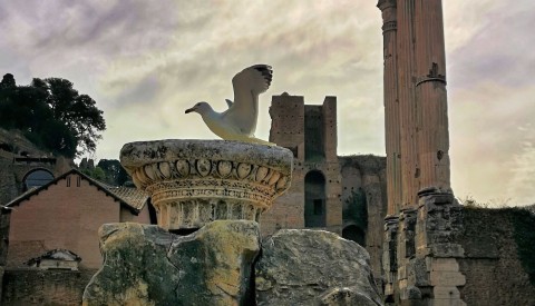 Evocative photos, recreations and more bring the Forum to life