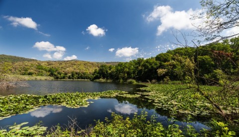 Phlegraean Fields Virtual Tour: History and Myth in the Ancient Fields of Fire - image 1