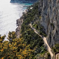 Amalfi Coast and Capri Virtual Tour: Stunning Scenery in the Italian South - image 6
