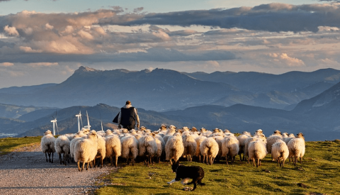 Abruzzo Virtual Tour: On the Trail of Medieval Monasteries and Mountain Towns - image 2