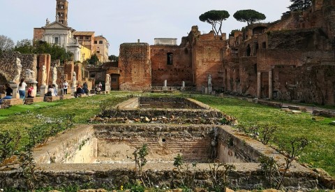 Colosseum with Gladiator Arena Floor, Forum and Palatine Hill Semi-Private Tour - image 3