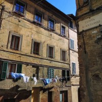 Siena & San Gimignano Day Trip from Florence - image 7