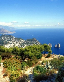 Capri in a Day