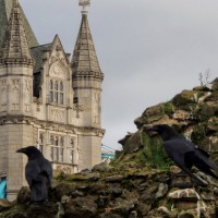 Meet the brooding ravens who guard the Tower of London
