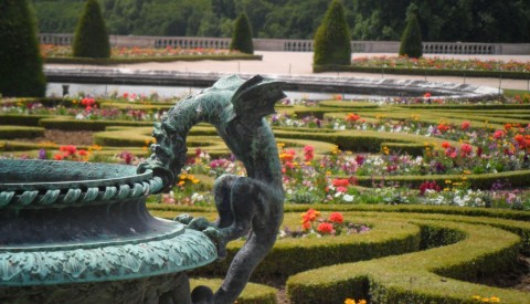 Floral fantasy in the Gardens of Versailles. 