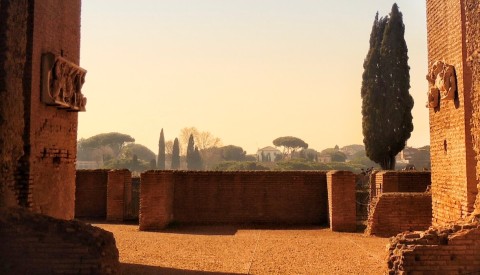 Private Colosseum Tour with Arena Floor, Forum and Palatine Hill: The Shadow of the Gladiators - image 4