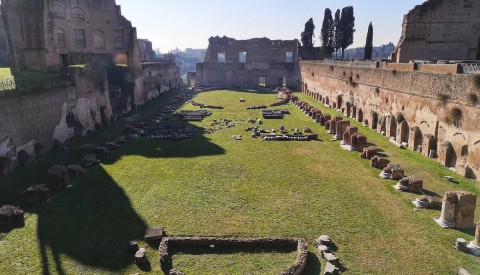 Private Colosseum Tour with Arena Floor, Forum and Palatine Hill: The Shadow of the Gladiators - image 2