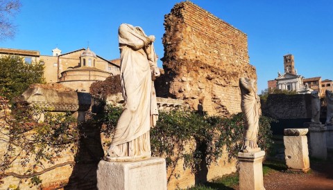 Private Colosseum Tour with Arena Floor, Forum and Palatine Hill: The Shadow of the Gladiators - image 1