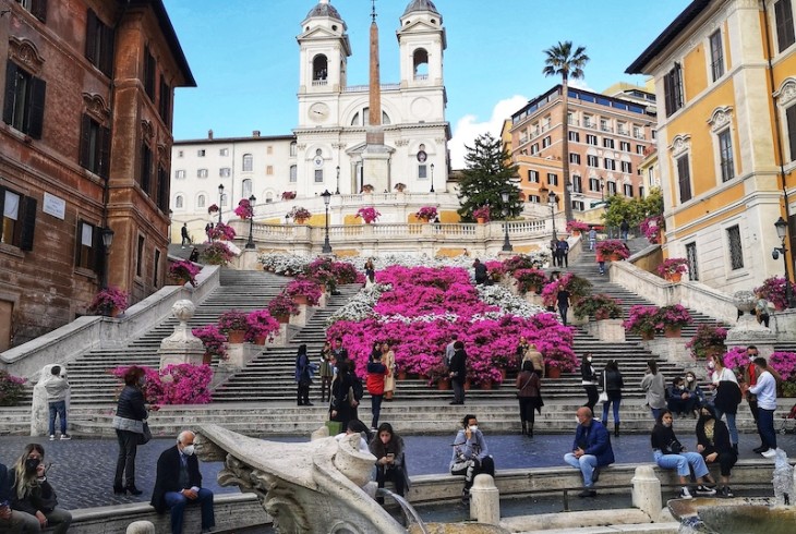 Azaleas on the Spanish Steps: Breathtaking Flowers in Rome