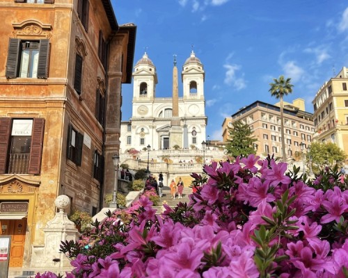 Azaleas on the Spanish Steps: Breathtaking Flowers in Rome