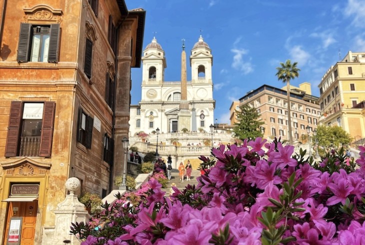 Azaleas on the Spanish Steps: Breathtaking Flowers in Rome