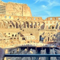 Ultimate Colosseum Semi-Private Tour with Roman Forum & Palatine Hill - image 18