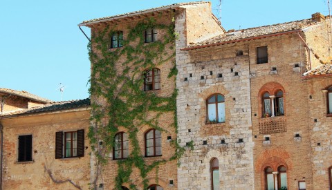 Chianti and San Gimignano: Exclusive Wine and Arts Tour - image 2