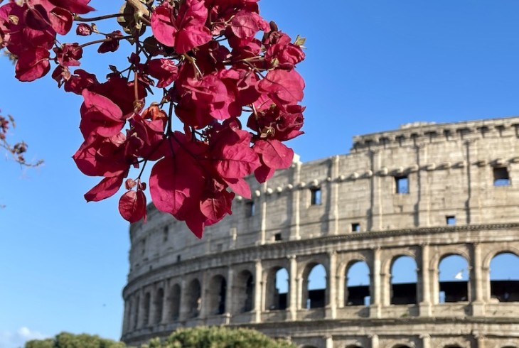 The Best Views of the Colosseum in Rome: 12 Jaw-Dropping Panoramas