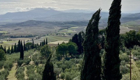Pienza & Montepulciano Tour with Wine Tasting and Farm Lunch - image 4