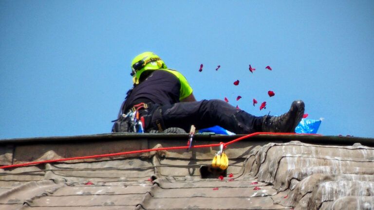 pantheon pentecost rose petals
