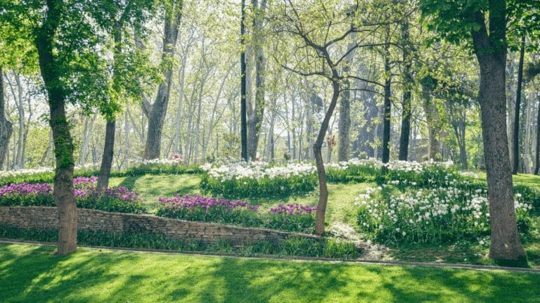 -Museum of History of Science and Technology in Islam in istanbul