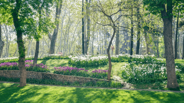 -Museum of History of Science and Technology in Islam in istanbul