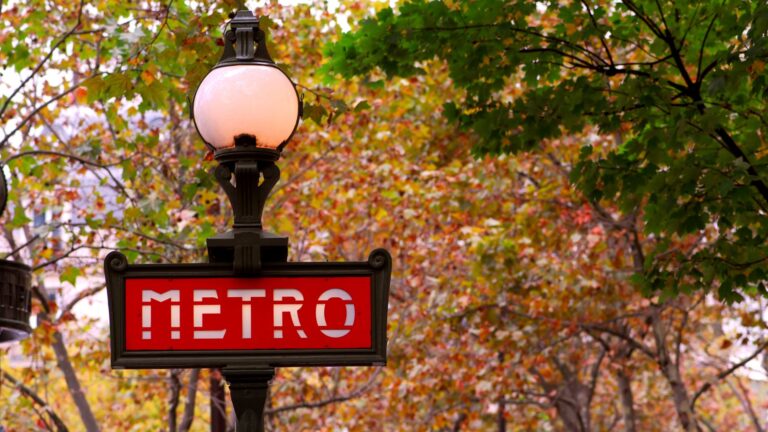 autumn in paris - a metro sign surrounded by leaves