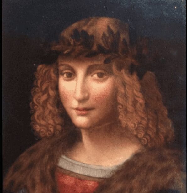 Youth by leonardo da vinci