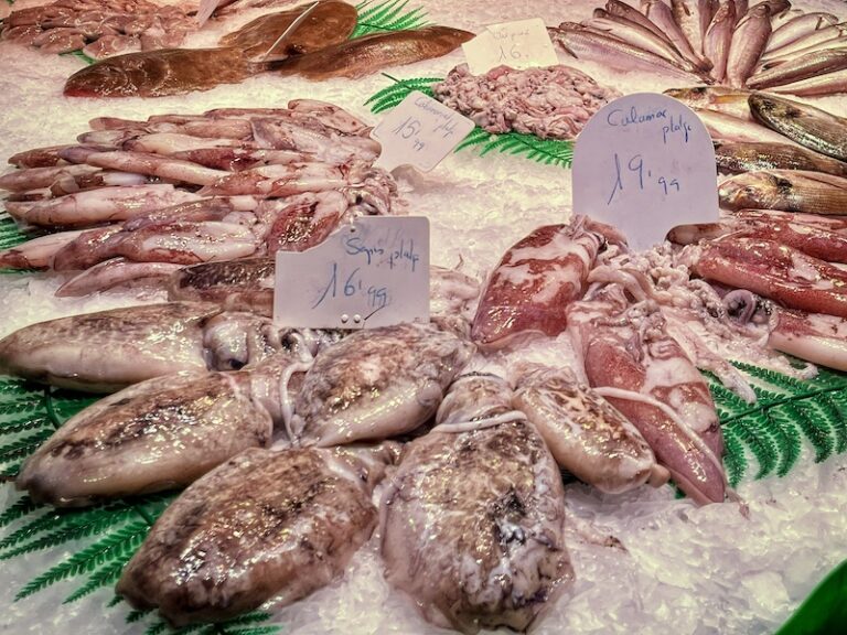 barceloneta fish market
