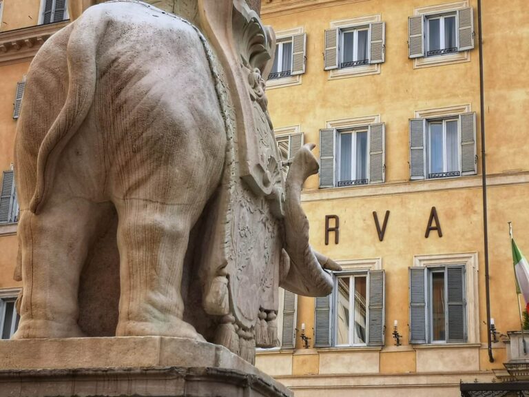 the rear of bernini's elephant in piazza della minerva