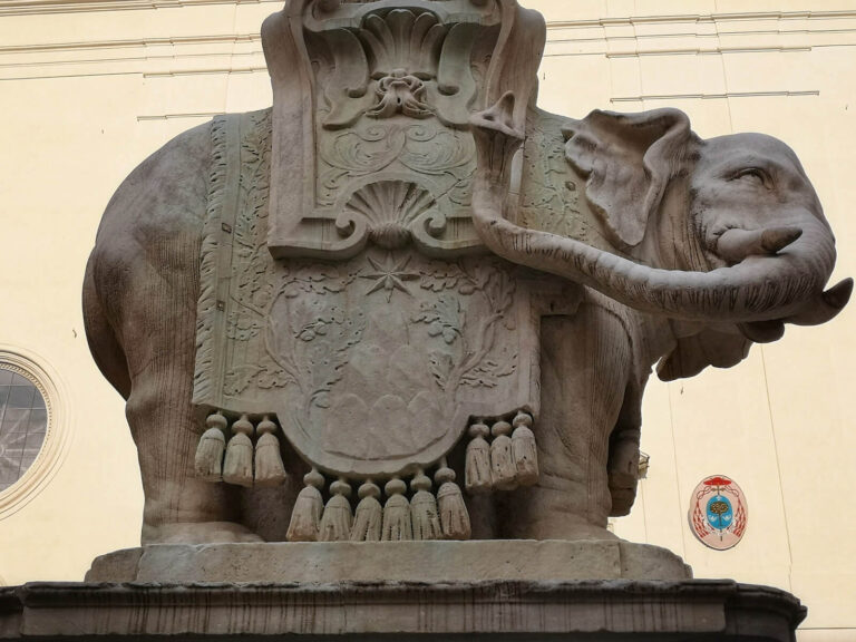 pulcino della minerva