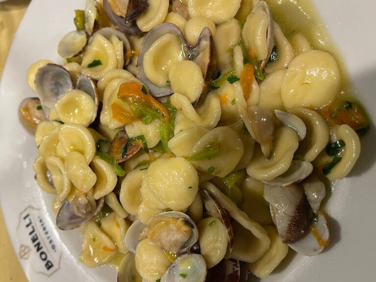 Orecchiette and clams in Rome