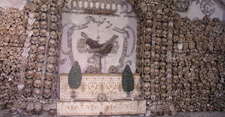 Crest of the Franciscan order showing two arms crossing. The bare arm of Jesus on the cross; the robed arm represents the arm of St. Francis of Assisi. The arms are semi mummified human remains..