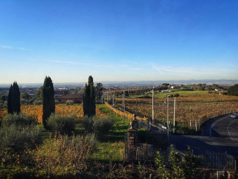 View of the Castelli Romani Countryside