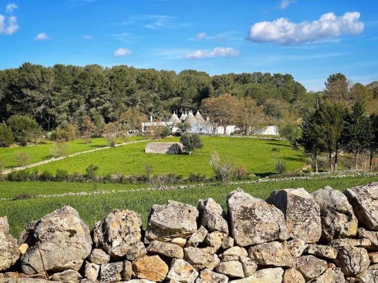 the countryside near cisternino in puglia