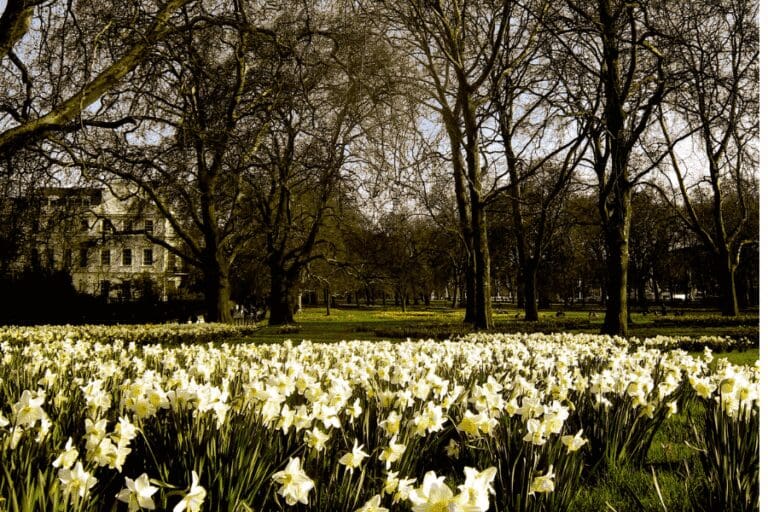 green park in london
