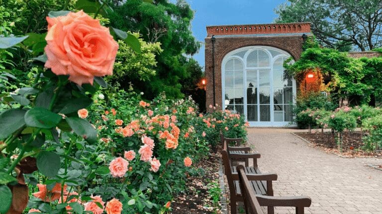 Holland Park in london