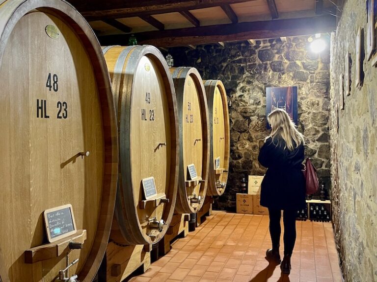 wine cellar in Montalcino